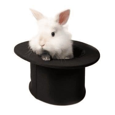 Magic Whote Rabbit History of Hats FAQ | Ascot Top Hats